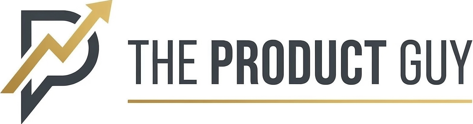 theproductguy.in logo